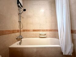 Tanglin Regency (D10), Condominium #615977181